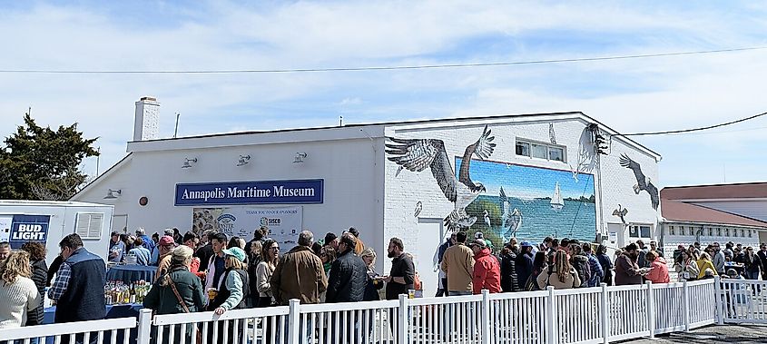 Event at Annapolis Maritime Museum and Park.