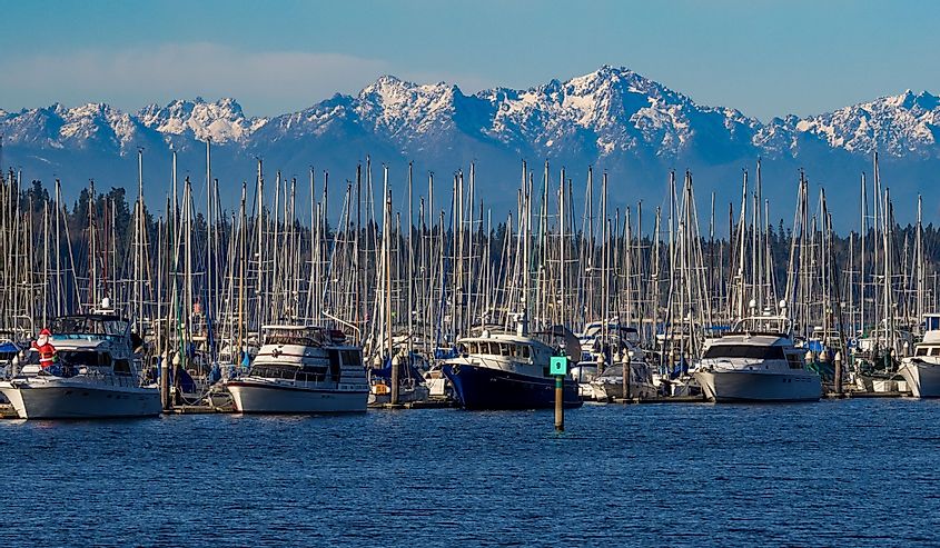 Marina at Olympia, Washington with Olympic Mountains in background