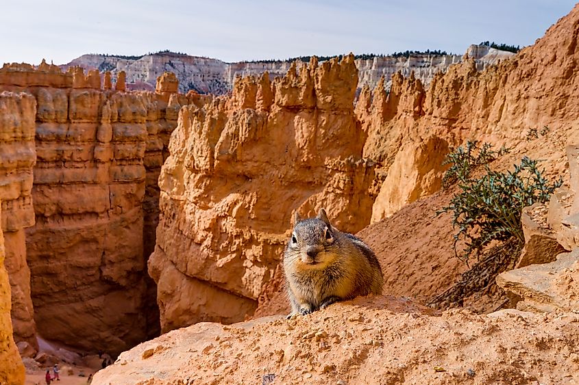 Bryce Canyon National Park