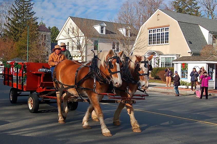 Horse carriage moves through Stockbridge, Massachusetts