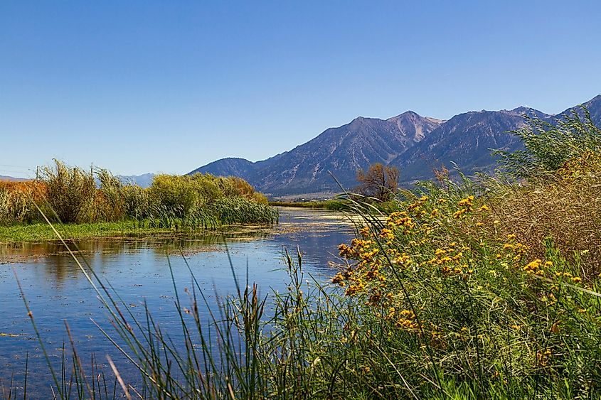 A beautiful scenery in Genoa, Nevada.