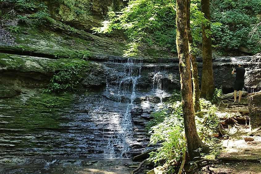 Jackson Falls is where Jackson Branch heads to Tennessee's Duck River. 