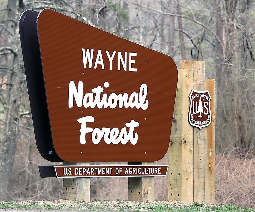 New sign for the Wayne National Forest photo via Wikicommons