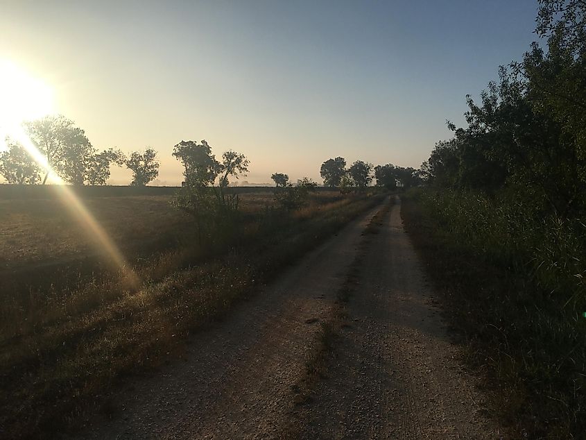 The early morning sun illuminating a dusty road along a farmer's field.