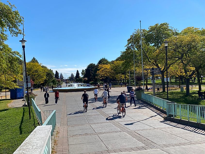 A lovely and populated park on a sunny fall day.