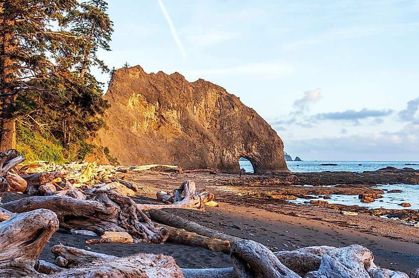 Hole in the Wall at Rialto Beach in Olympic National Park, Washington. 