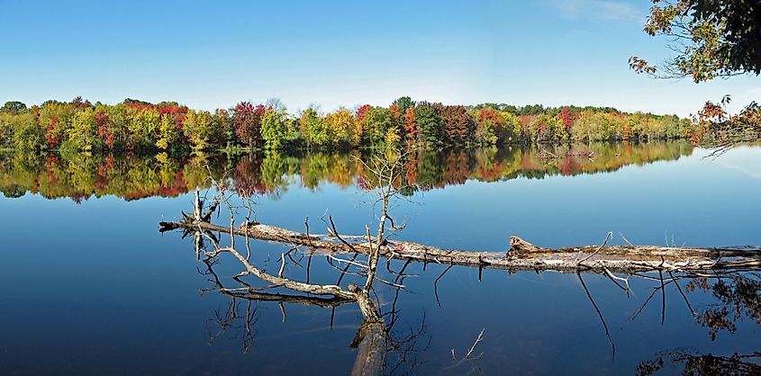 Fall foliage along the Stillwater River in Old Town, Maine. Looking west across the river from Marsh Island.