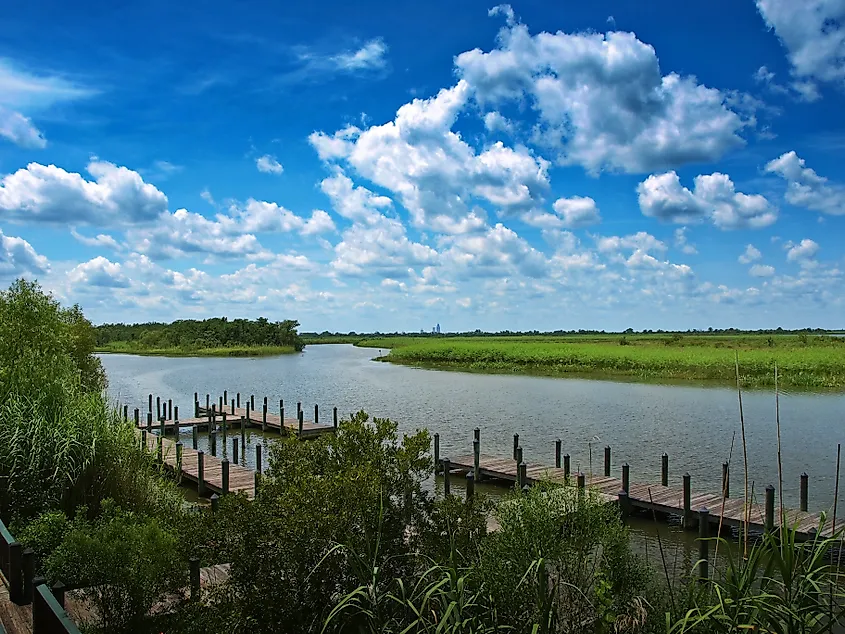 The serene settings of the Mobile Tensaw Delta area in Alabama.