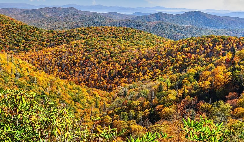 Pisgah National Forest, North Carolina, USA during autumn.