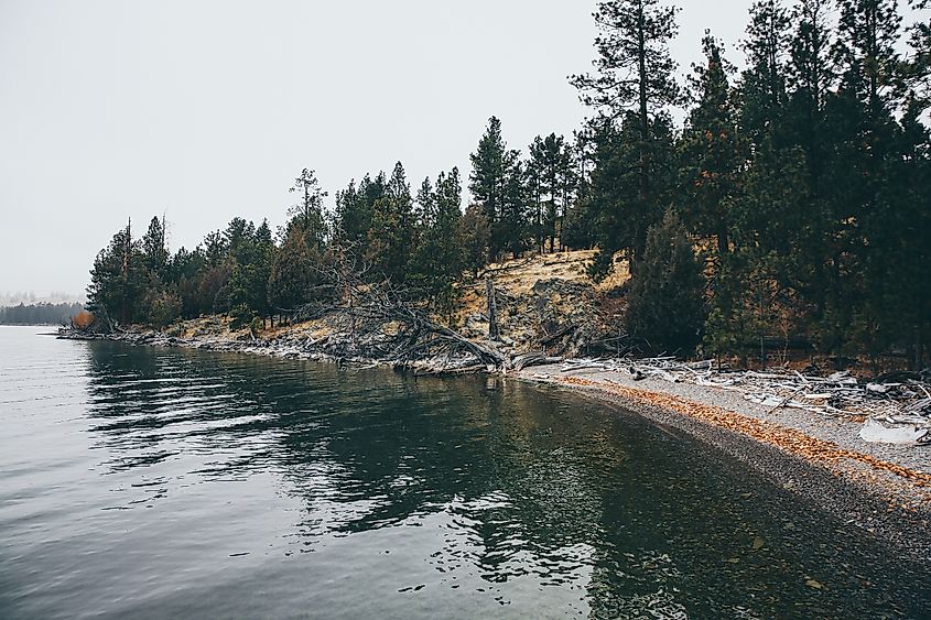 Wild Horse Island on Flathead Lake, in Montana.