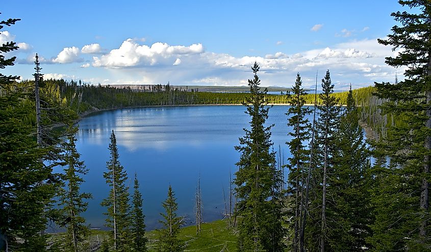 Overlooking Yellowstone Lake in Yellowstone National Park, Wyoming