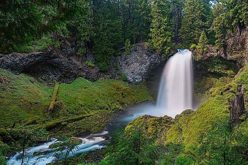 Willamette National Forest in Sahalie Falls, Oregon.