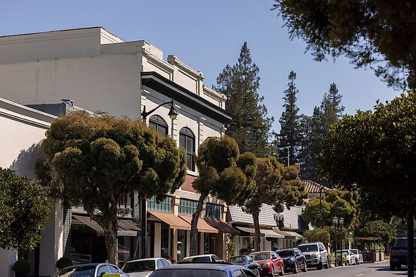 Beautiful trees frame historic buildings of downtown Los Gatos, California, USA.
