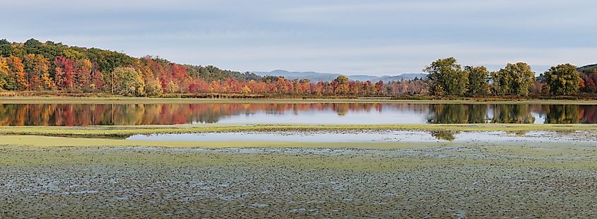 View of Woods Pond from Valley Street with the foliage of the Mountain State Forest in Lenox, Massachusetts