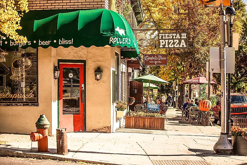 Chestnut Hill neighborhood of Philadelphia.