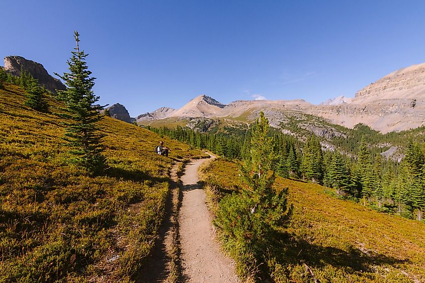 The Skyline Trail through the Jasper National Park.