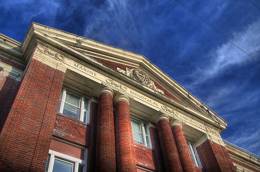 The Marine Biological Laboratory, Woods Hole, Massachusetts