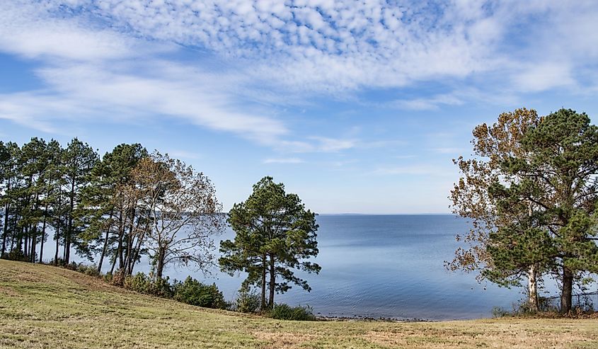 Toledo Bend Reservoir at Louisiana/Texas State Line