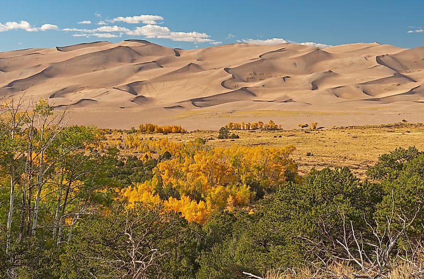 A variety of landscapes at and around landscape of the Great Sand Dunes National Park.