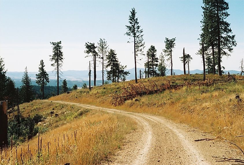 Skyline Drive in Mary Minerva McCroskey State Park, Idaho. 