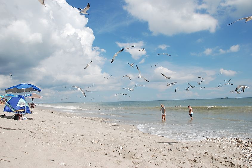 Edisto Beach