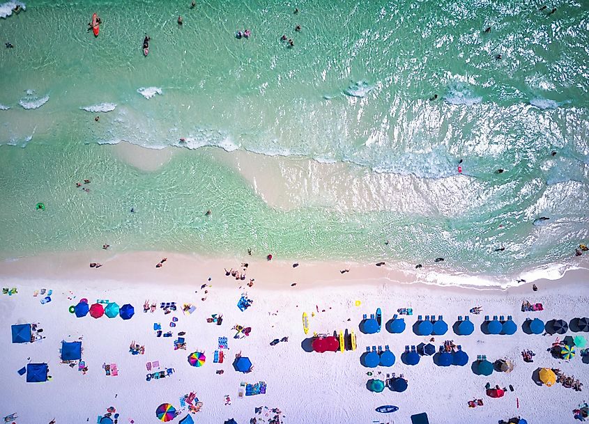 Gulf coast of Florida