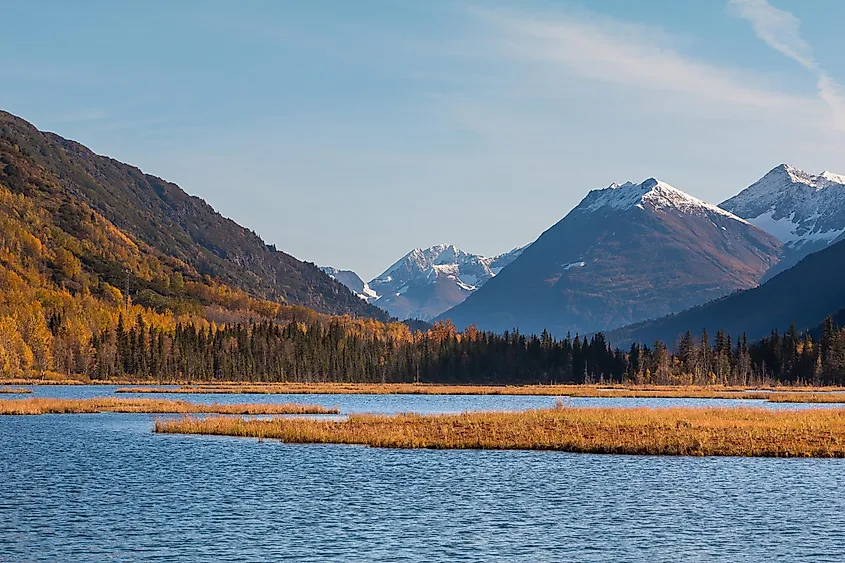 tern lake