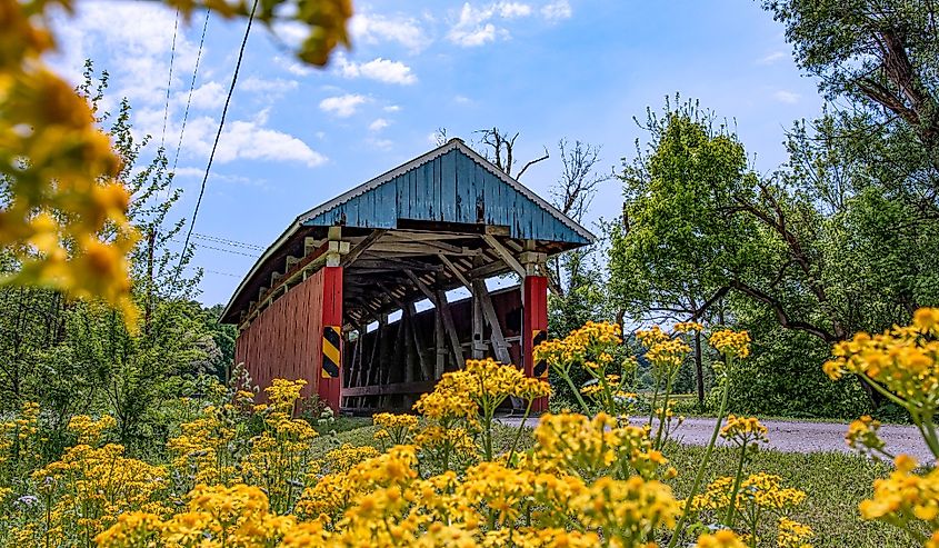 Historic Gower Road Covered Bridge as viewed through spring wildflowers growing on the side of the road in rural Perry County.