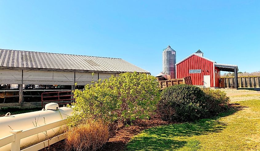 Wrights Dairy Farm and Bakery, North Smithfield, RI Rhode Island, USA, Traditional American Farm, Cows, Red Barn, Silo