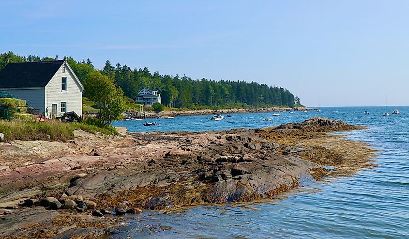 Shoreline View of Lowell's Cove in Harpswell Maine