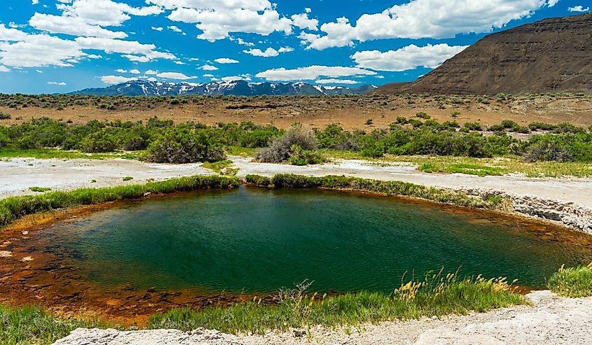 Beautiful green hot spring pool in Alvord Desert, Oregon.