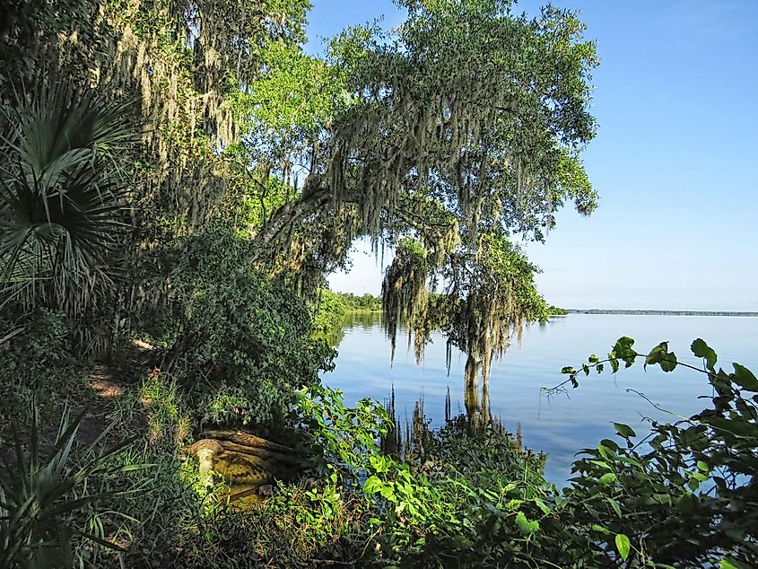 Beautiful Scenic View of Rodman Reservoir in Florida.
