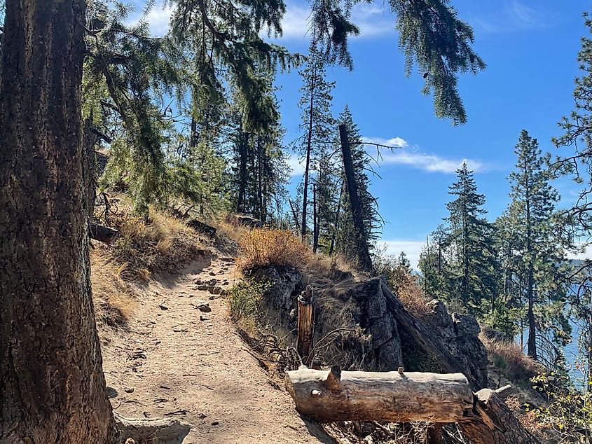 A beautiful hiking trail leads up through the forest, with lake views peaking through the trees.