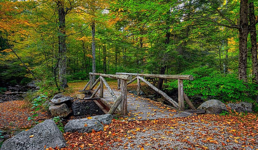 Early Autumn at Macedonia Falls State Park in Kent, Connecticut, USA.