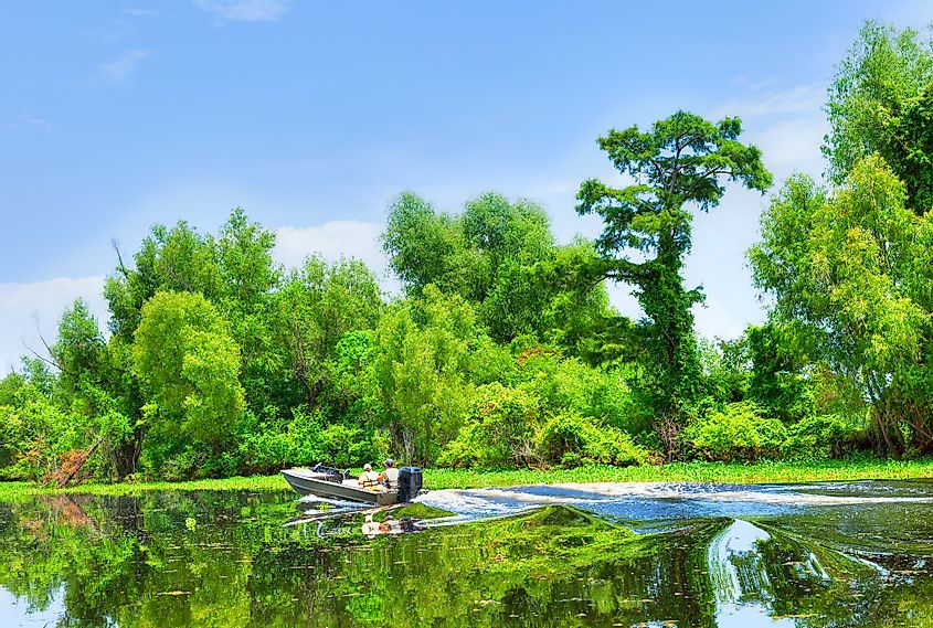 Atchafalaya River Basin with cypress trees and boaters