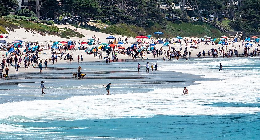 People having a gala time at the dog friendly Carmel Beach at Carmel by the Sea.
