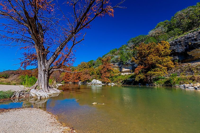 Fall colors enhancing the beauty of the Guadalupe River State Park, Texas.