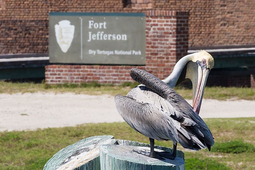 Dry Tortugas National Park