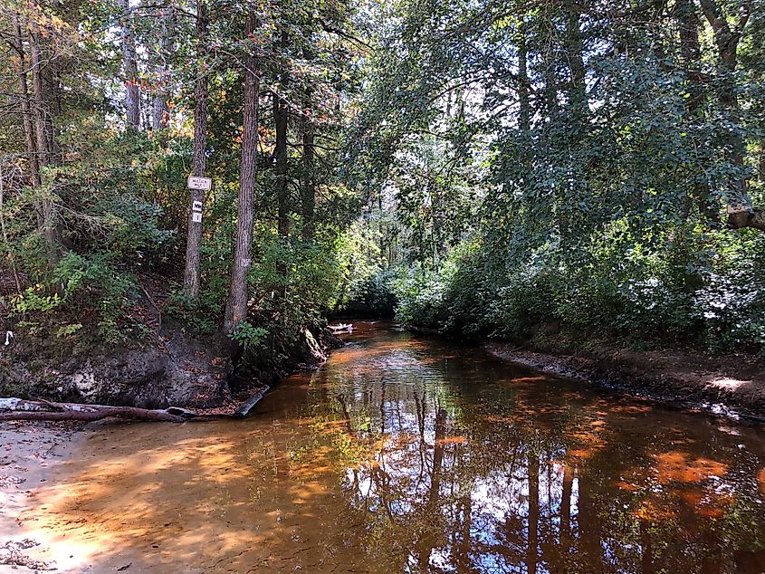 Mullica River in Shamong, New Jersey.