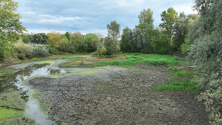 Very drought pond wetland drone aerial.