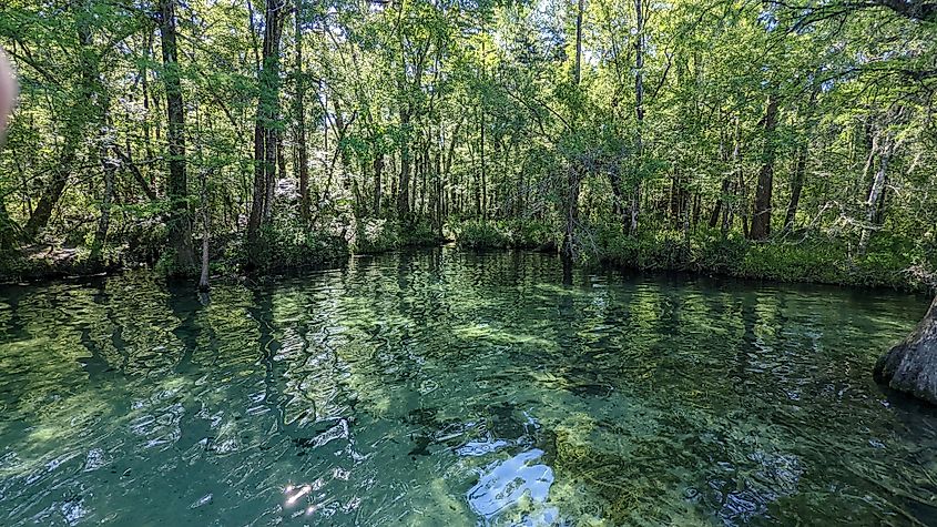 Ponce de Leon Springs State Park in Florida.