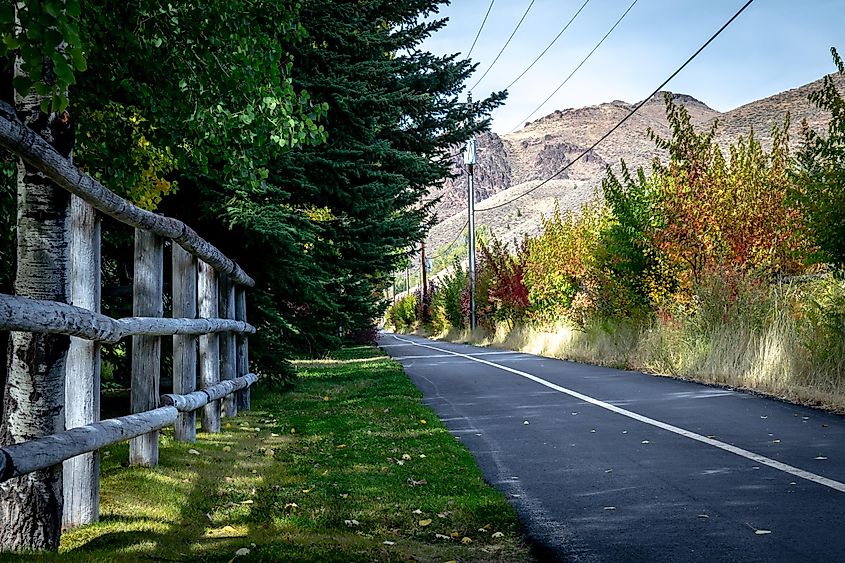 A peaceful bike path lined with foliage in Ketchum, Idaho.