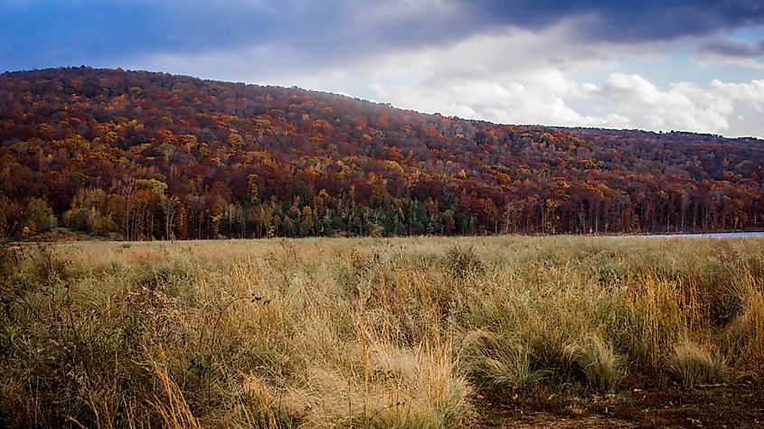 Vibrant fall scenery at Lake Fort Smith State Park, Arkansas.