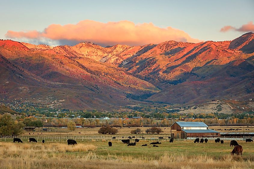 Sunrise in rural Midway, Utah