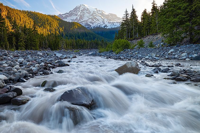 A gushing stream in the Mount Rainier National Park, Washington.