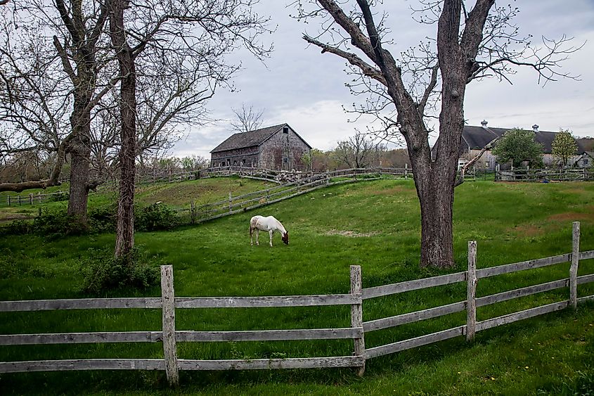 Early spring, Exeter, Rhode Island