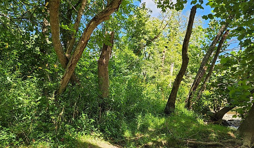 Summer days at Caesar's Creek, Waynesville. Image credit My_Scenic_View via Shutterstock. 