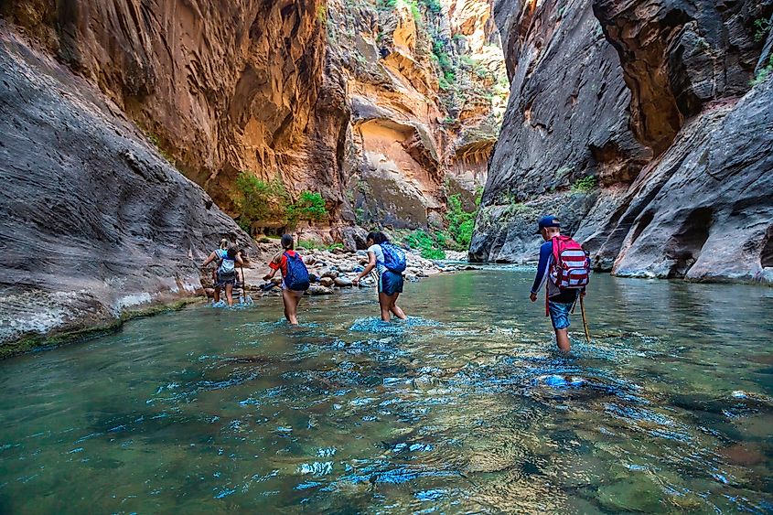 Hikers wading through water in Zion National Park.