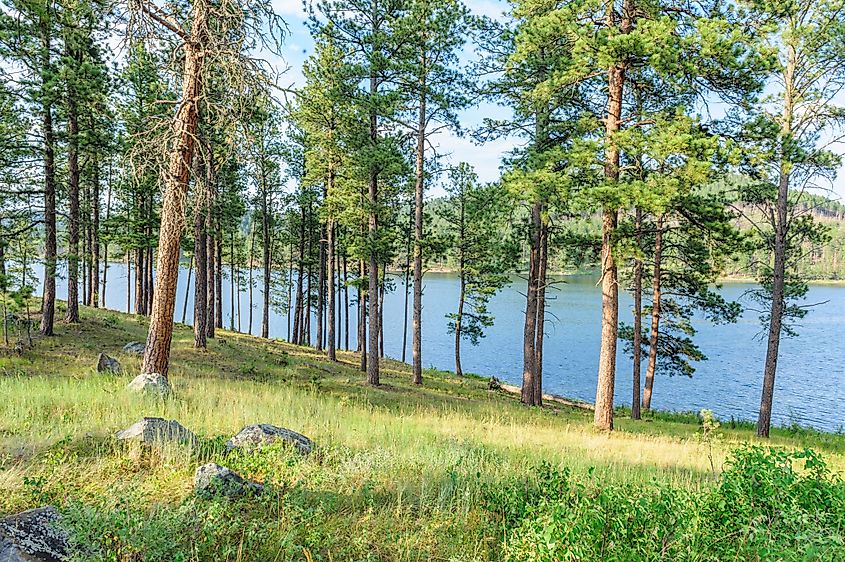 Sheridan lake Campground in the Black Hills, South Dakota.