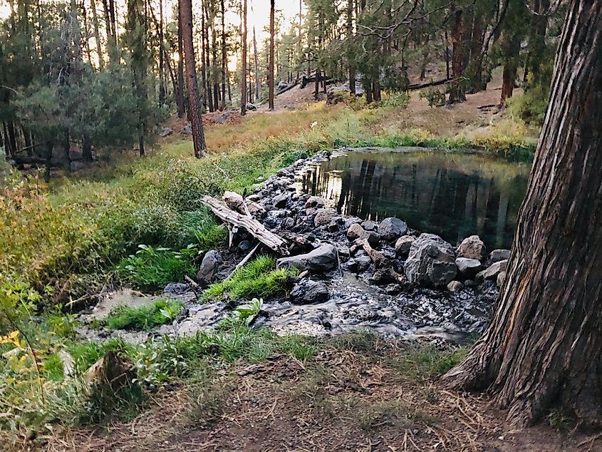 Main soaking pool at McCauley hot springs.